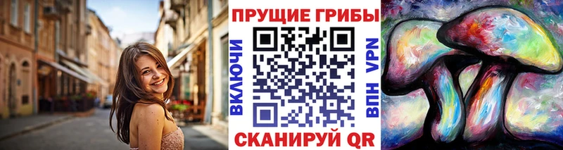 Псилоцибиновые грибы Psilocybe  цены наркотик  Елизово 